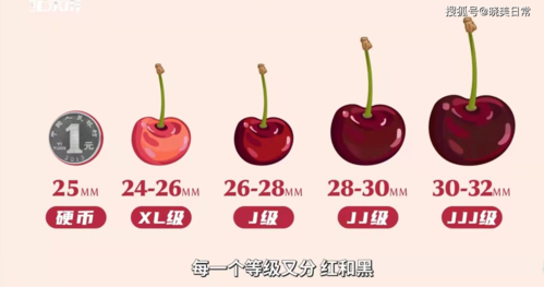 但是小编觉得很有必要让大家来了解一下车厘子的种类和区别