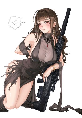 少女前线:dsr-50