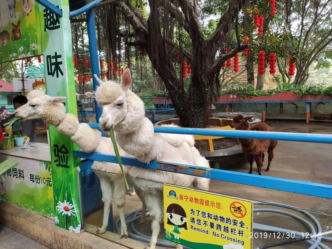 2019游广西南宁动物园