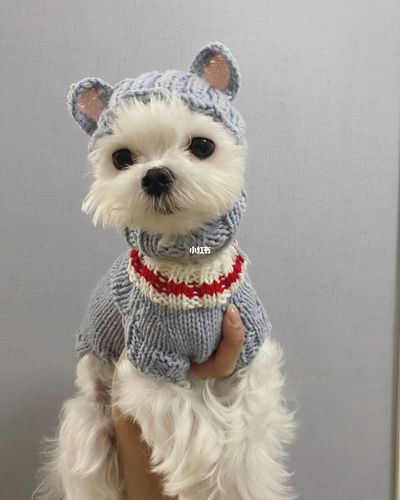 自己织狗狗毛衣套装