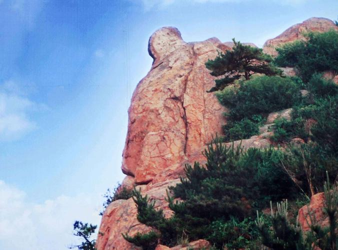 毛公山休闲爬山 采摘草莓