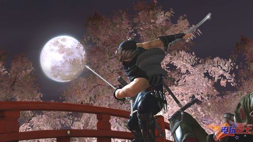 忍者龙剑传2 汉化版