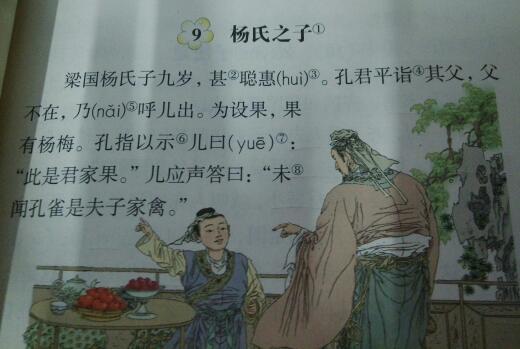 杨氏之子文言文翻译及注释