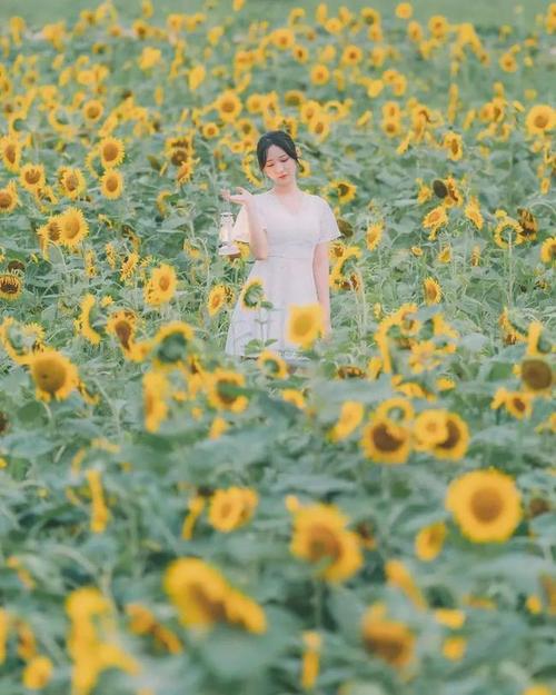 向日葵人像拍照姿势7个姿势简单易学拍出你的不同美