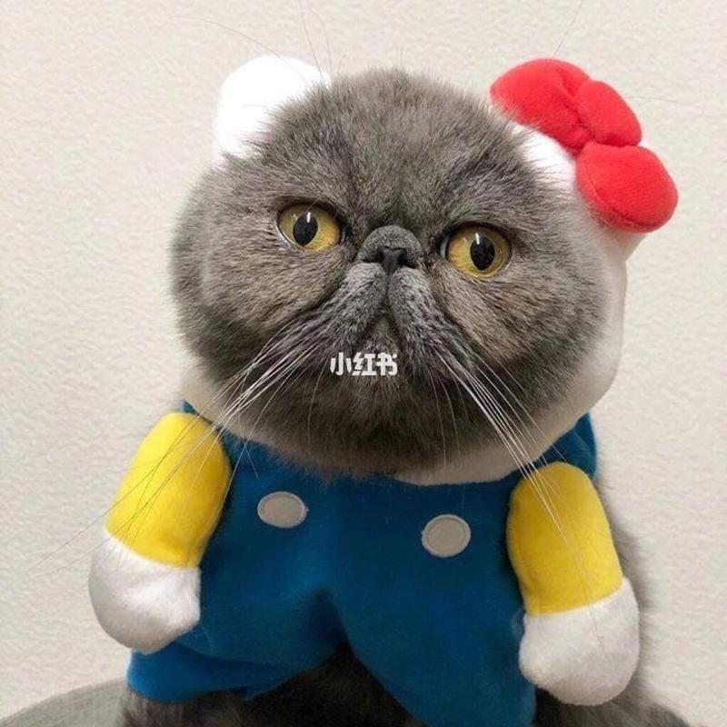 94情侣头像_猫猫_狗狗_头像分享_素材_头像