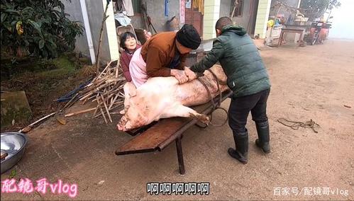 杀猪喽 杀猪喽 四川遂宁农村杀年猪喽 全网这个杀猪匠