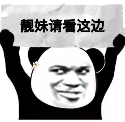 熊猫猫举牌表情包