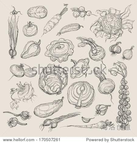 蔬菜速写简笔画