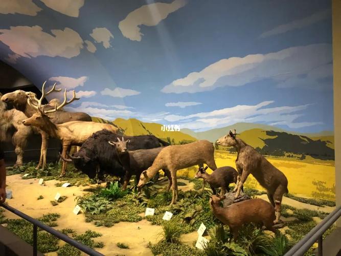 天津自然博物馆_休闲玩乐_自然博物馆_恐龙_天津自然博物馆_鳄鱼_珊瑚