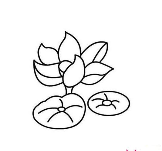 漂亮的莲花简笔画