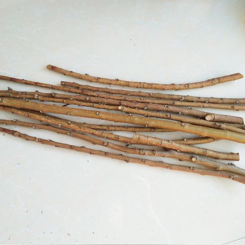 新鲜婴儿镇宅南枝野生树枝桃木辟邪