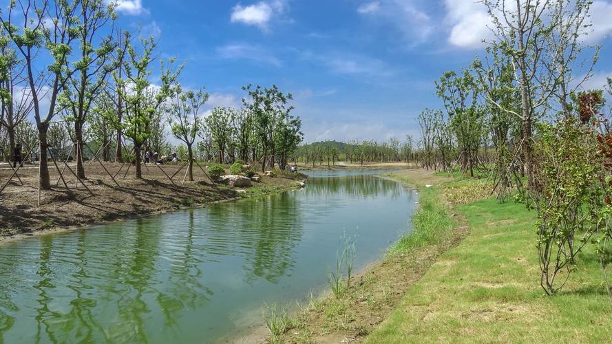 南通五山森林公园剑山东片区和植物园