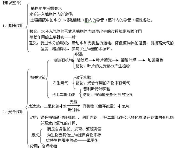 生物蒸腾作用光合作用呼吸作用手抄报 生物手抄报