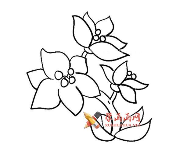 12款漂亮的花朵的简笔画画法大全__植物_大树,花草系列植物简笔画大全