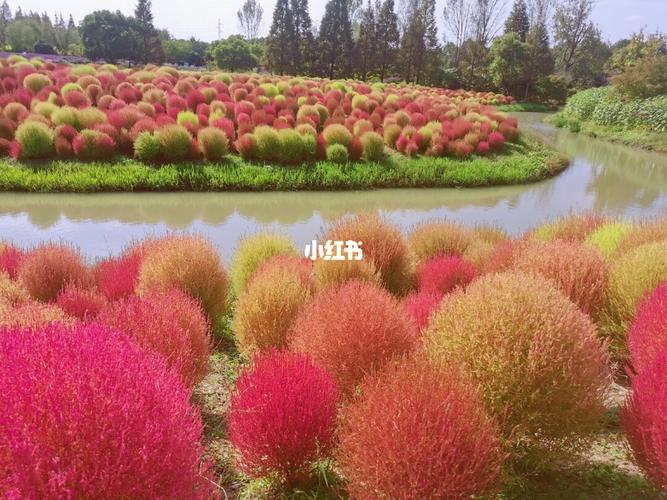 花开海上生态园_出行_传统景点攻略