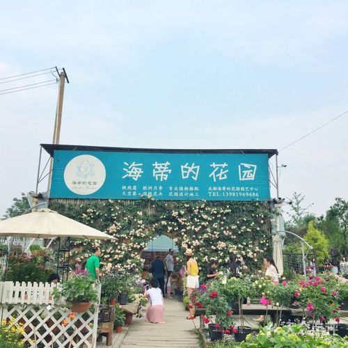 海蒂的花园