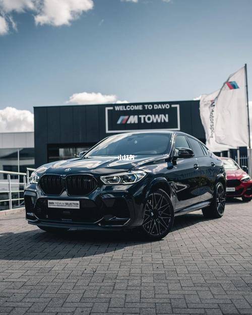 全新bmw x6 ///m雷霆版97_宝马怎么样_珠海锦泰宝汇