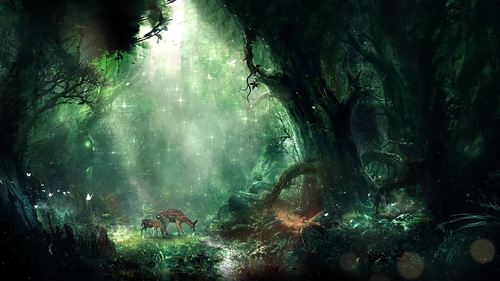 奇幻森林led视频