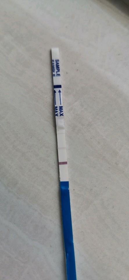 测纸准还是验孕棒准呢_准备怀孕 - 妈妈网