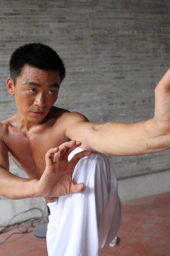 蔡李佛拳(choileefat) - 电影图片 | 电影剧照 | 高清