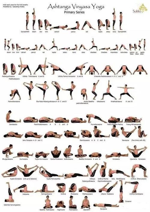 还是分不清阿斯汤加vinyasa流瑜伽的区别吗