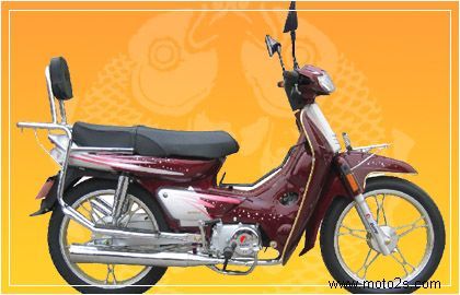 大福摩托车大福df1102火树银花报价价格
