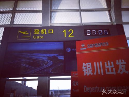 银川河东国际机场图片 - 第154张