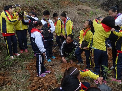 邛崃乡村学校少年宫开展植树活动