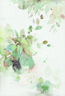 花草,水墨,封面,淡雅,唯美,插画,古风