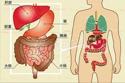 温州医生独创重症胰腺炎"救命秘笈" 捧回一等奖