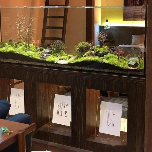 全球顶尖苔藓缸造景作品!