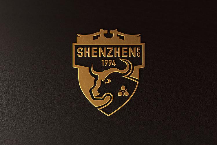 「焕然一新」2020中超球队队徽再设计(第二辑)