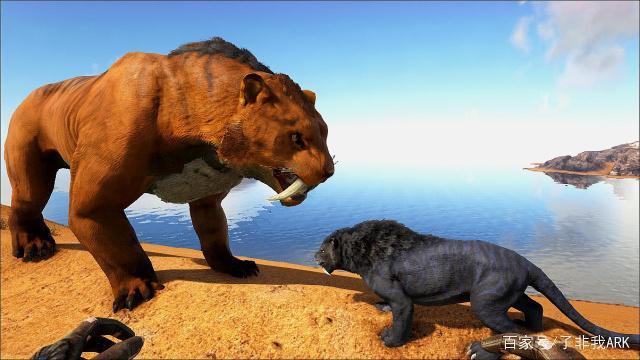 巨兽剑齿虎与方舟剑齿虎