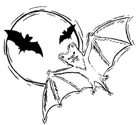蝙蝠怎么画