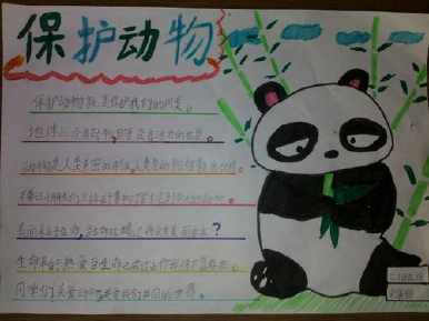 三年级动物简单手抄报 三年级简单手抄报