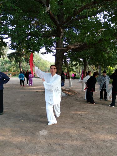 中级华武太极扇教学之花