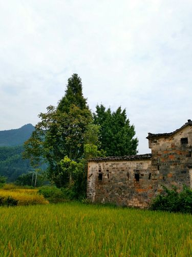 徽州(芦村)是非常宁静的小山村风景如画,令人陶醉,令人难忘.