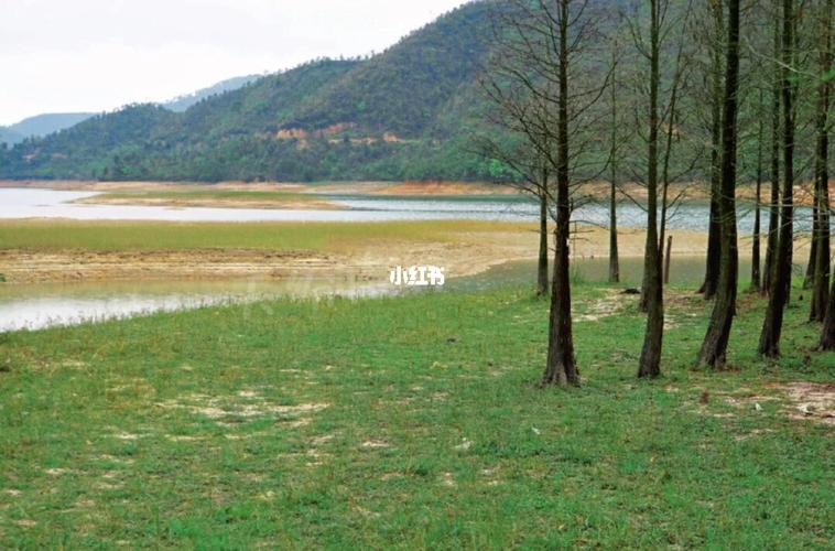 台山都斛南坑水库,有时候连本地人都不知晓的地方.