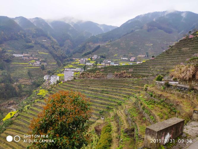 下蜈蚣岭村,拍拍震撼的茶园梯田,梯田背后的力量是震撼而又神圣的