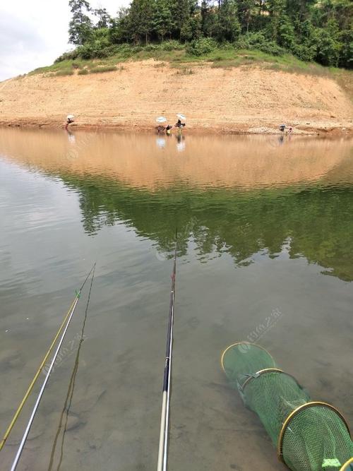 六都寨水库哪段鲤鱼多点,求各位大师的指导.