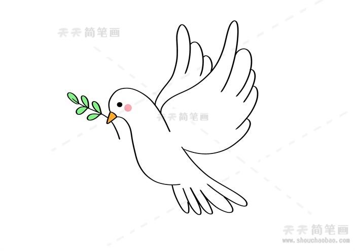 简笔画向左飞的和平鸽简笔画步骤怎样画和平鸽简笔画简单又漂亮