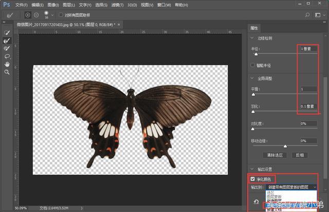 1分钟教会你用魔棒工具快速抠图ps抠图技巧实例讲解
