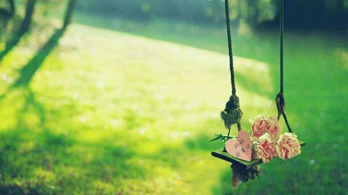 妈妈,您给了我六次生命 ‖赵付轩