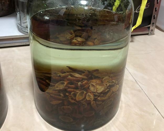金樱子叶的功效与作用(金樱子的功效与作用有哪些?