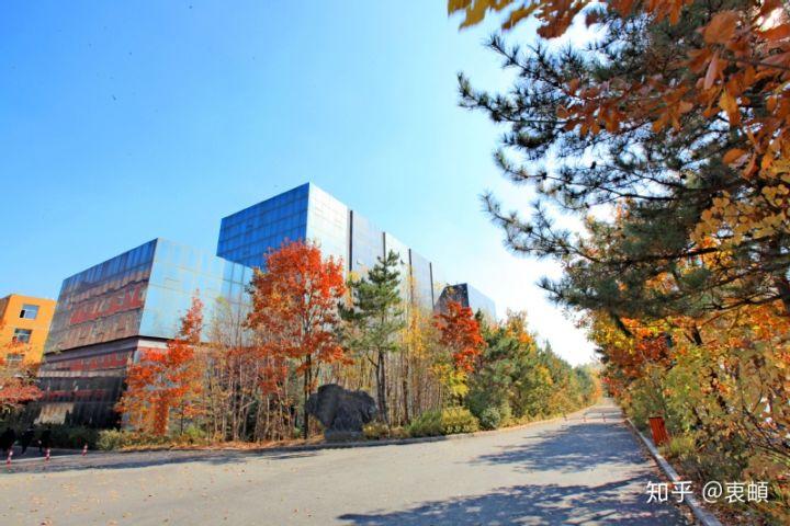 长春大学旅游学院的图书馆或教室环境如何是否适合上自习
