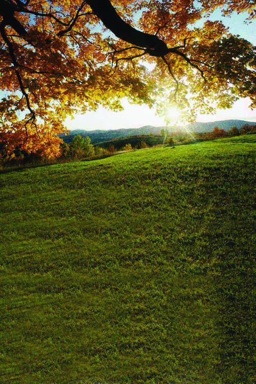 【惠东黑社会 胜和的黄喜雄 传闻】男子因身上仅余450