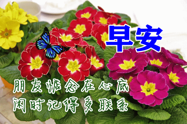 9月11日最新早上好动态祝福表情大全漂亮的早上好动图美图问候