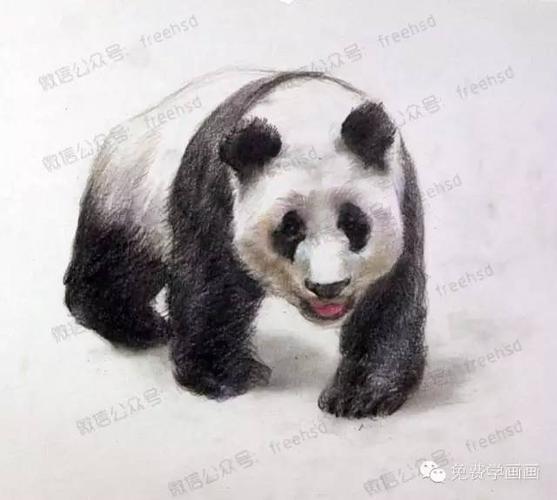 【综合系列】一步一步学画大熊猫