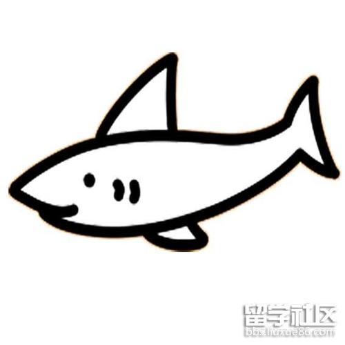 大鲨鱼简笔画图片