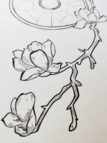 唯美古风手绘玉兰花,寥寥几笔尽得神韵